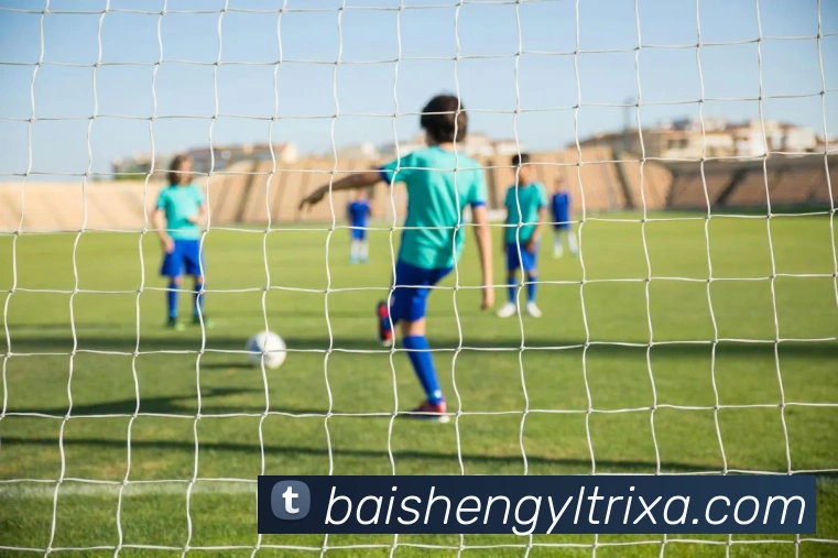 多媒体互动体验